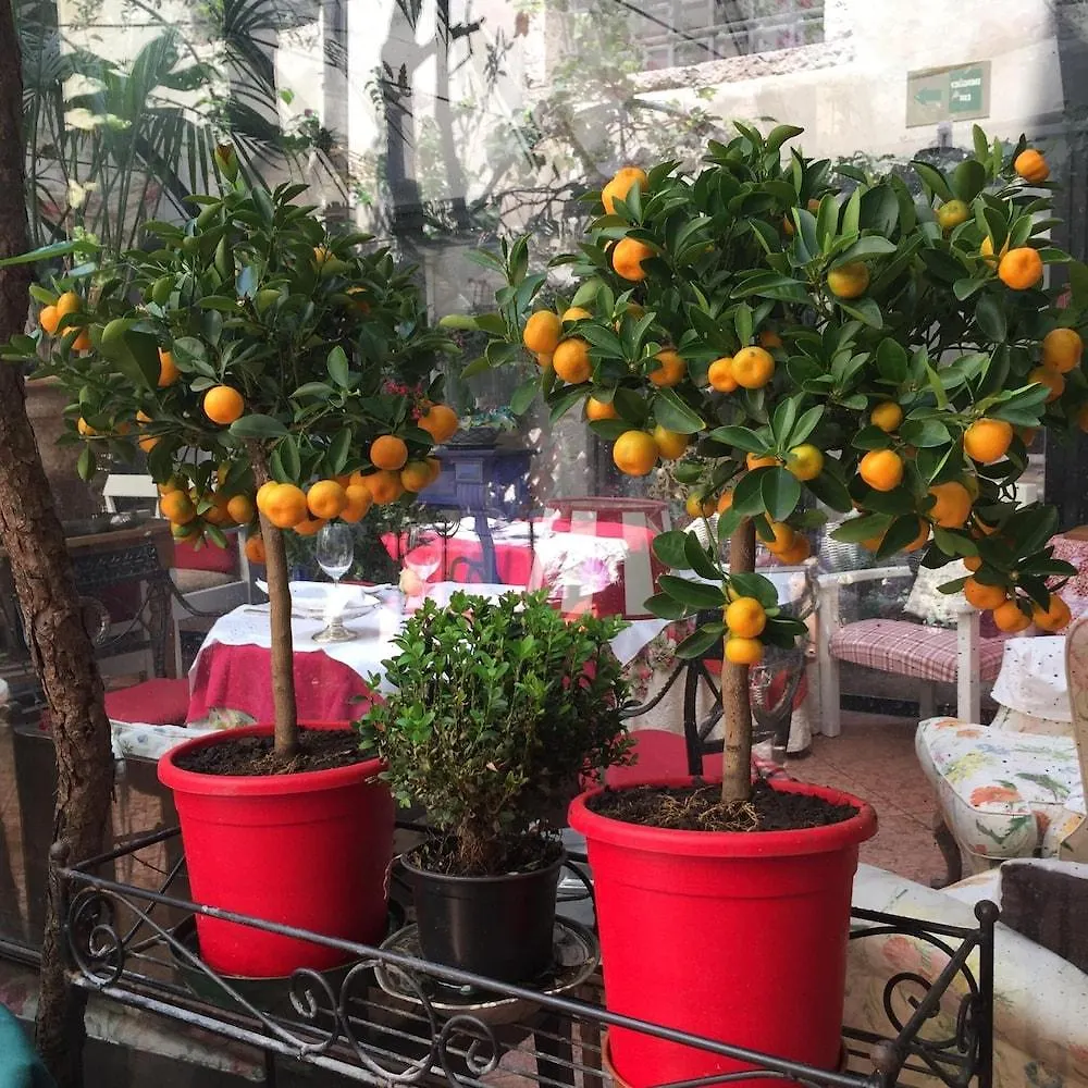 *****  Hotel Gabbia D'Oro Verona Italy